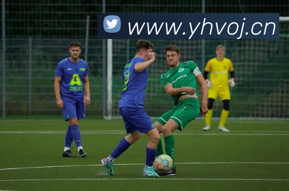 多媒体互动体验